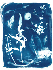 Blue nature collage with wildflowers and feathers, printed with cyanotype technique
