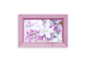 Photo frame with beautiful lilac flowers picture isolated on white, soft lilac color design