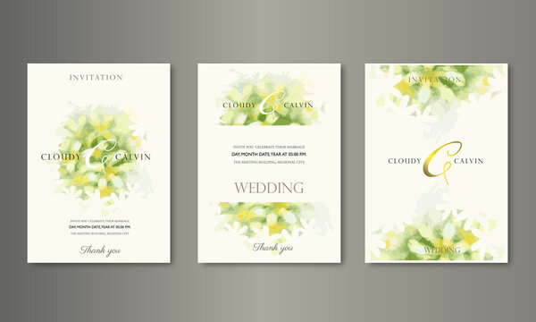 Watercolor paint for cover and card design. Luxury cover design background vector. Trendy style tropical leaf pattern for the invitation, party card, notebook, and stories page