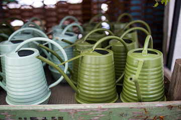 Various types of multi-colored plastic watering cans and a bouquet of dried hawthorn on the window