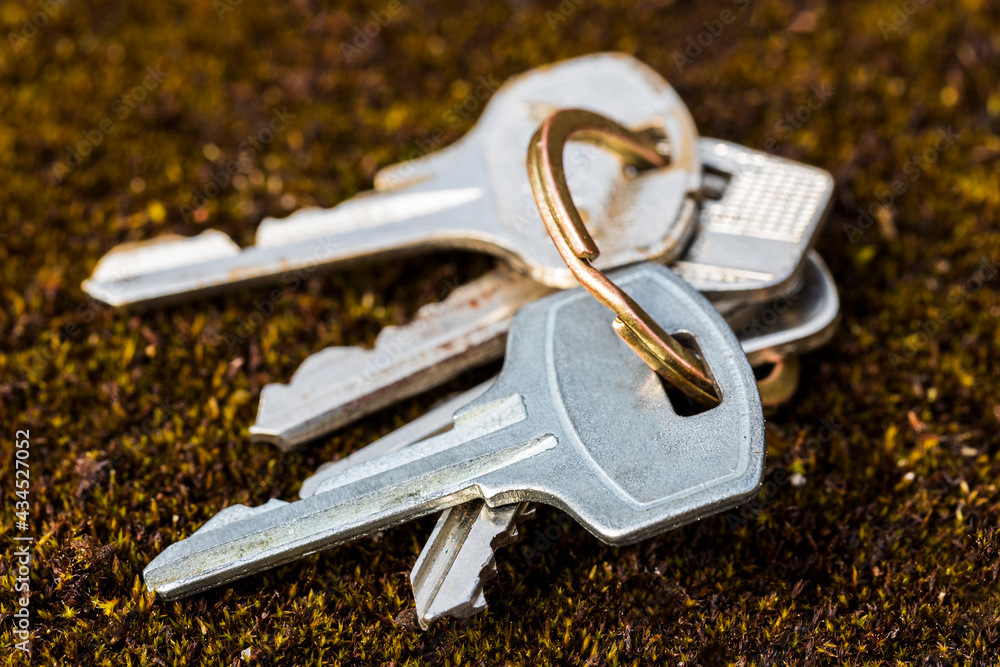 Poster set of keys lying on the ground. View from the side