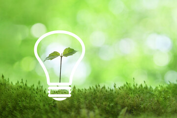 Light bulb on green grasses