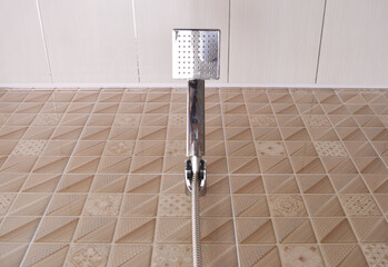 Shower in the bathroom interior. Bathroom design object  element
