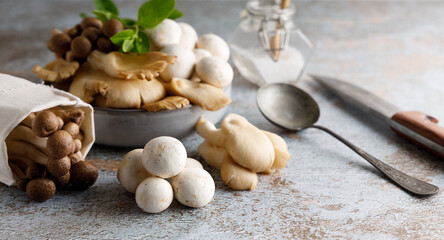 Fototapeta na wymiar Assortment of edible mushrooms. Fresh harvested assortment of edible mushrooms, oyster fungus, shimeji and white mushrooms.