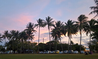 Palm Trees at Sunset