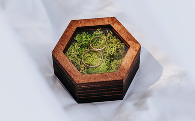 Two wedding rings in a wooden box with a moss plant on a white background with veil