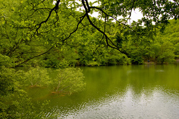 beautiful landscape in Agva, Istanbul Turkey in summer