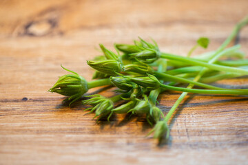 Unopened buds of zucchini pumpkin flowers on a wooden background.