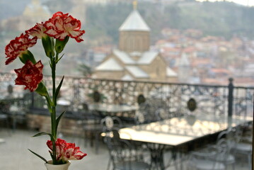 Carnation flower in focus on the left. The background is blurred. View of the summer terrace of the restaurant and the old town in Tbilisi, Georgia