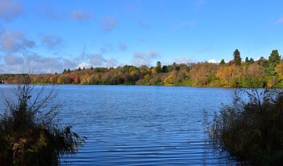 Blue skies, trees turning and lake view in autumn