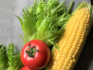 野菜　トマト　レタス　コーン