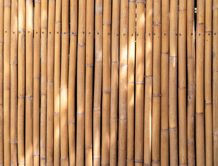 large image of yellow bamboo poles wall, natural light spot on bamboo fence texture backdrop, abstract background