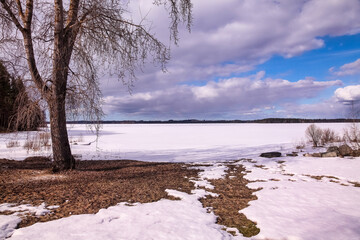Large image view of winter forest ice lake