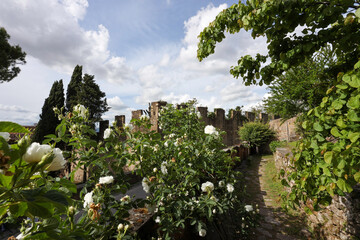 Fototapeta premium il giardino delle rose Firenze