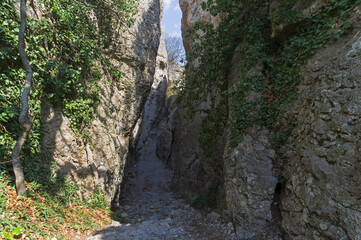 Crimea. View of a narrow gorge.
