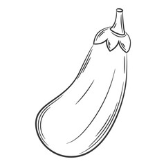 Whole eggplant. A vegetable in a linear style, drawn by hand. Food ingredient, design element.Lineart. Black and white vector illustration. Isolated on a white background