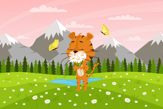 Cute cartoon tiger sniffs flowers on the background of mountains and fields. Spring landscape. The symbol of the year. Animal character. Color vector illustration for kids.Flat style