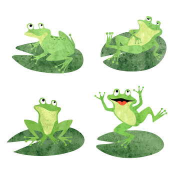 Cartoon frogs sitting on lily pads. Vector watercolor  green toads illustration.