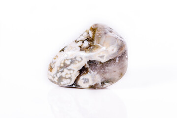 Macro mineral stone Jasper oceanic on a white background