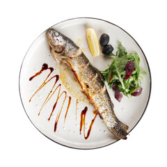 Isolated plate of gourmet grilled fish with salad and sauce