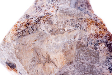 macro mineral stone hedenbergite on a white background