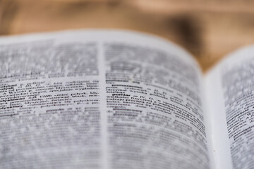 Fototapeta premium Polish dictionary