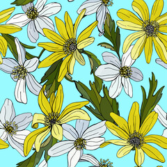 Seamless pattern of wild field daisies and buttercups. Vector design isolated on blue background. Botanical elements are hand drawn. Illustration for fabric, textile, card, banner, paper, wallpaper.
