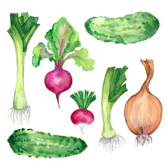 watercolor set of vegetables for salad