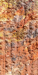 vertical photographic image of natural resources