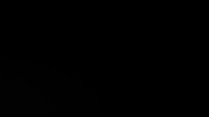 Sliced vegetables fly up and spinning with water splashes on a black background in slow motion shot, water drops on vegetables - Powered by Adobe