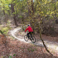 Fototapeta premium man exercises on mountain bike in spring forest near utrecht in holland