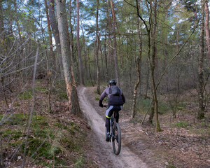 man  exercises on mountain bike in spring forest near utrecht in holland