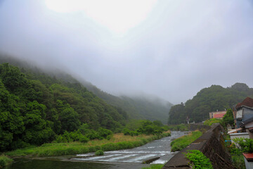 landscape with fog