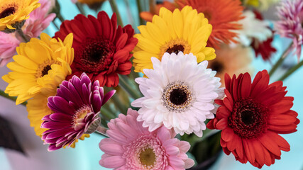 Colorful flower bouqet arrangement. Summer flowers held by florist in hand close up. Flowers for wedding and happy occasions.