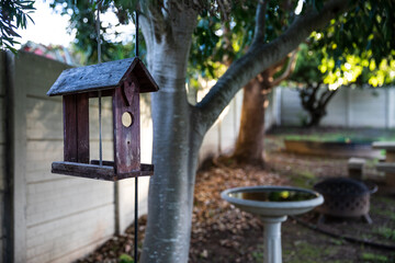 Bird feeder in peaceful garden with bird bath and trees in the background