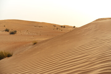 Fototapeta na wymiar Yellow sand dunes in Dubai desert for a background