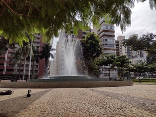 fountain in the park