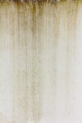 Concrete wall in water stains and moss close-up