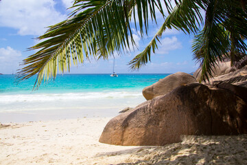 Beautiful beach with Palm Tree and ship on the Seychelles