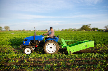 A tractor with a digging unit digs up land vegetables. The use of modern technology on the farm....
