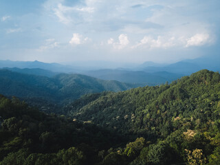 Mountain and tree Landscape in summer