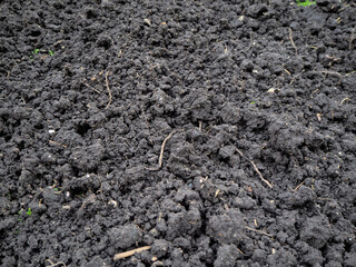 Land black earth black raw background peat plants