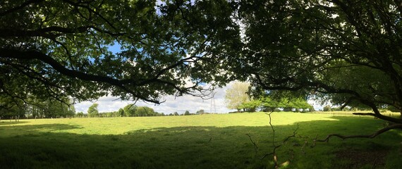 En promenade dans la campagne au lieu-dit Barré à Briec en Bretagne Cornouailles Finistère France