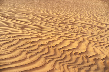 Fototapeta premium Wavy sand texture in Dubai desert close up