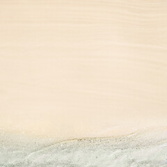 Top and aerial view on tropical sand beach with sea. Ocean coastline. Drone photo. Background. square