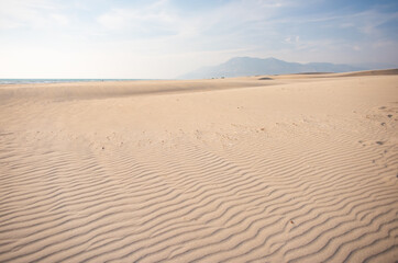 Fototapeta na wymiar Desert Background Landscape with sand waves