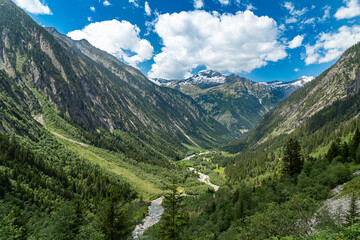 Tal mit Fluß in den österreichischen Alpen bei Mayrhofen