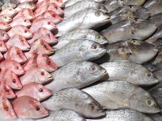 selective focus on sea fish in the market. sardines, snapper, grouper, parrot fish