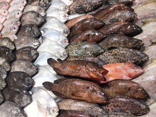 selective focus on sea fish in the market. sardines, snapper, grouper, parrot fish
