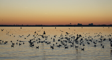 Berlin - Abendstimmung am Müggelsee